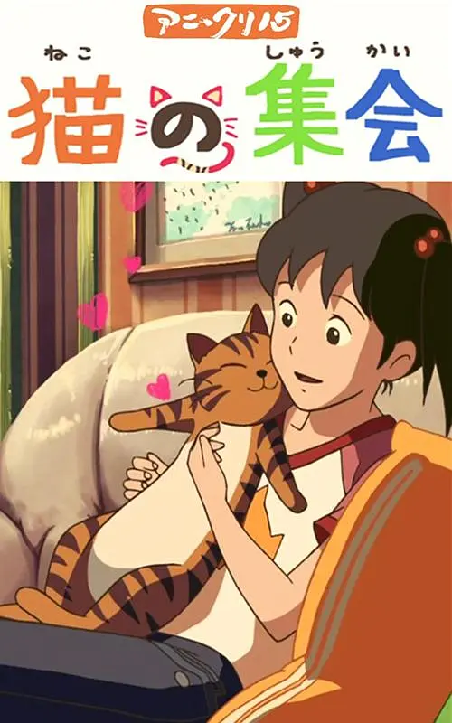 67pao.com