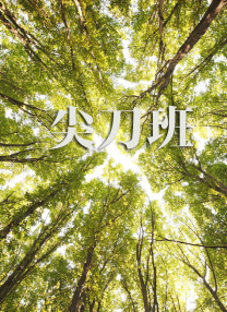 欧美a网站