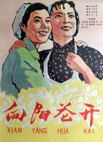 小圈实践视频在哪找
