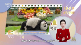 一同看亿同玩2023